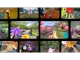 Snap Specs (Consumer Edition)